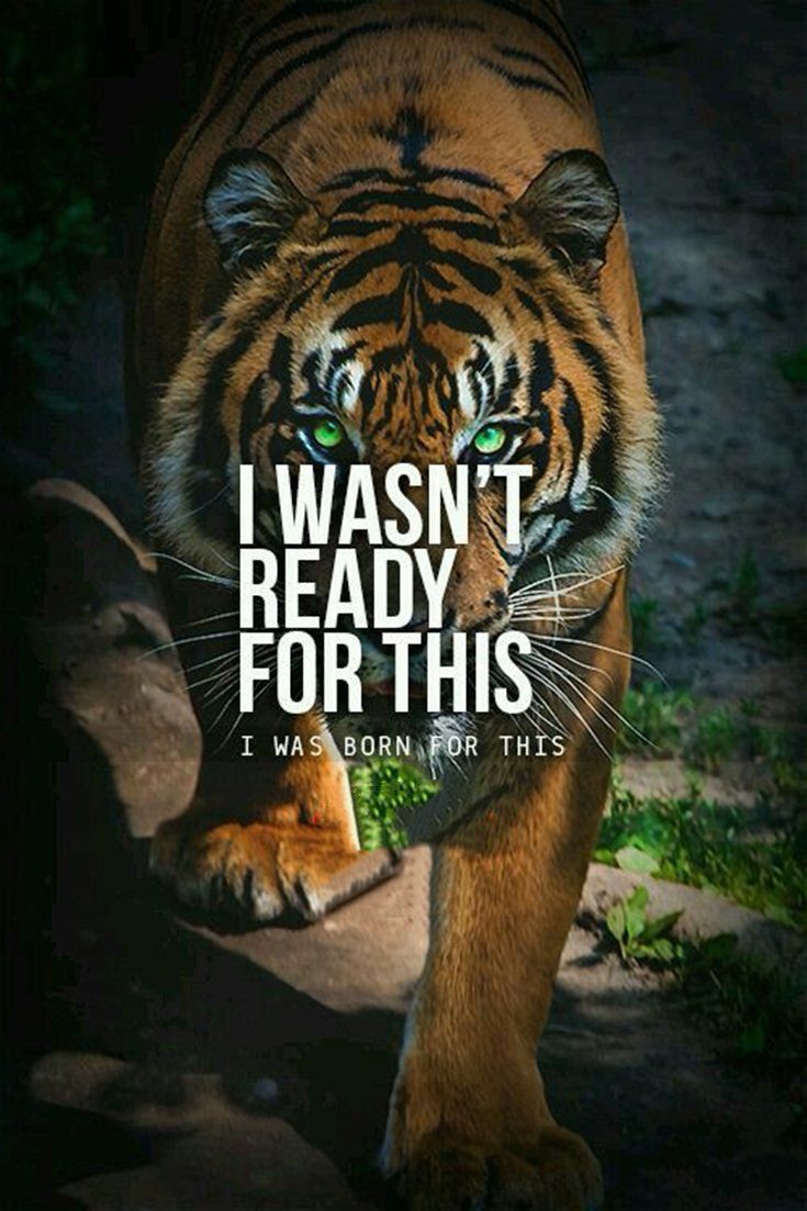 wise inspirational and motivational quotes wise inspirational and motivational quotes