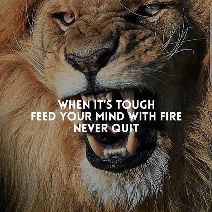 work positive motivational quotes work positive motivational quotes