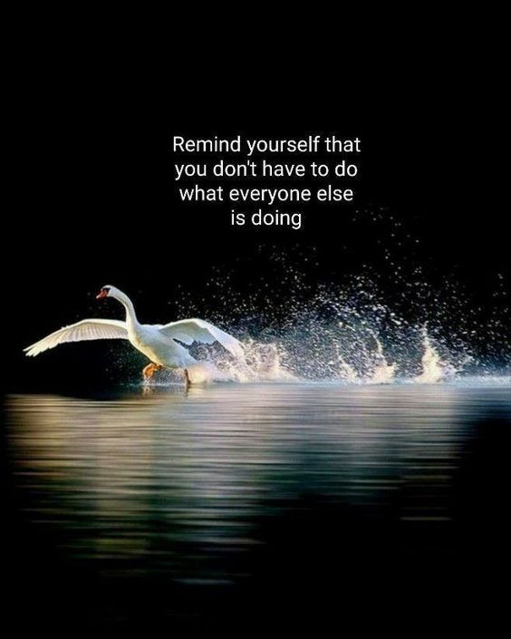 5 motivational quotes Top 342 Inspirational and Motivational Quotes with Images 5 motivational quotes Top 342 Inspirational and Motivational Quotes with Images