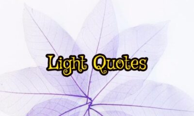 Light Quotes to Illuminate Your Life