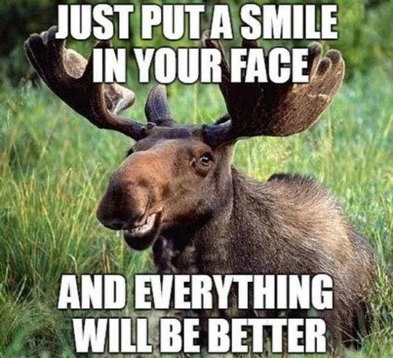 aggressively positive memes aggressively positive memes