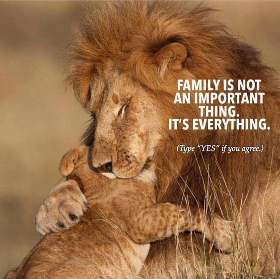 an inspirational message Top 342 Inspirational and Motivational Quotes with Images an inspirational message Top 342 Inspirational and Motivational Quotes with Images