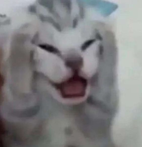 cat meme japanese art cat meme japanese art