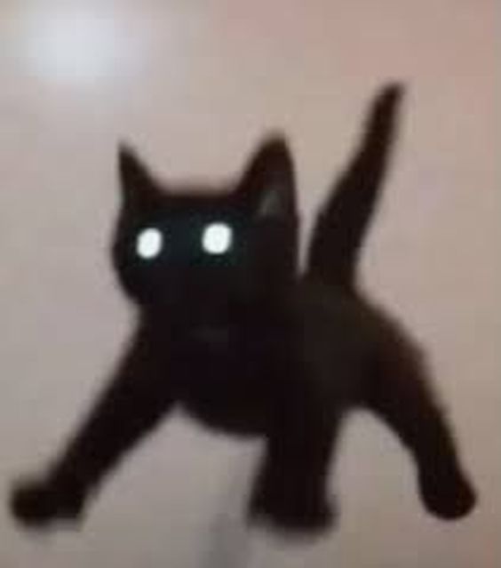cat meme jpg cat meme jpg