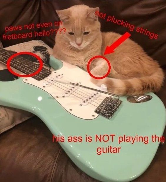 cat meme qr code cat meme qr code