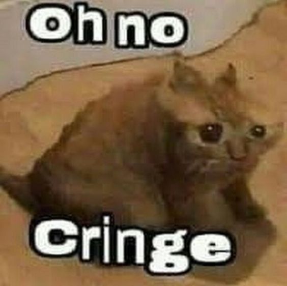 cat meme universe cat meme universe