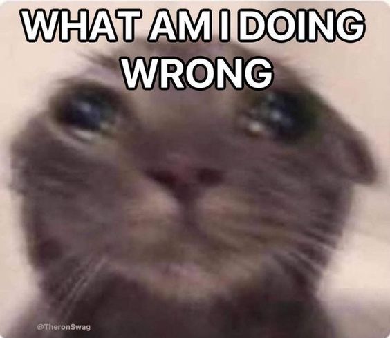 cat memes banana cat memes banana