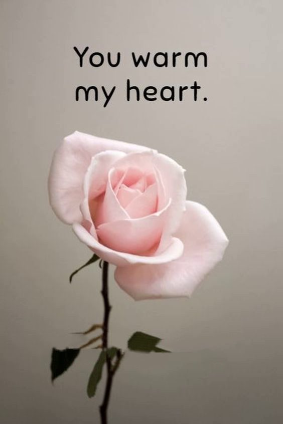 cute flirty text messages in hindi cute flirty text messages in hindi