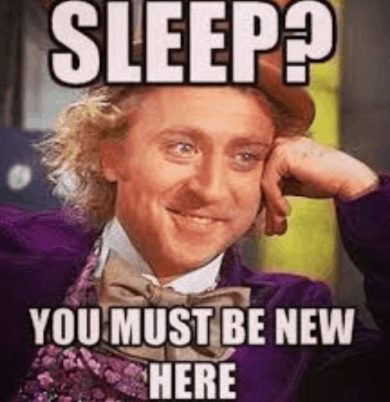 dog encouragement memes dog encouragement memes