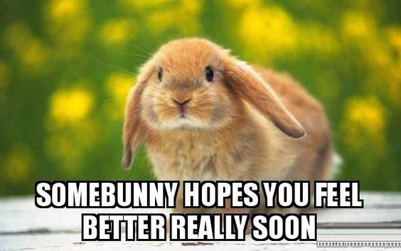 encouraging love memes encouraging love memes