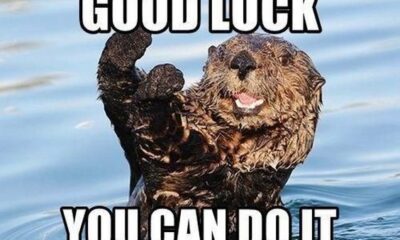 encouraging memes christian