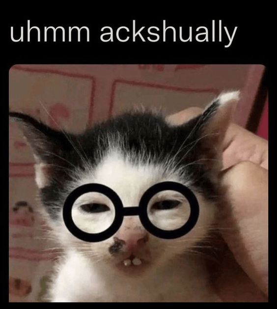 funny cat memes 2023