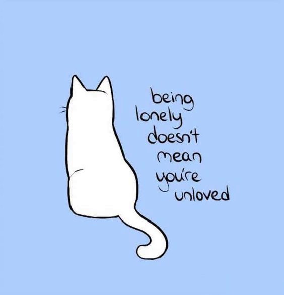 funny encouragement memes funny encouragement memes