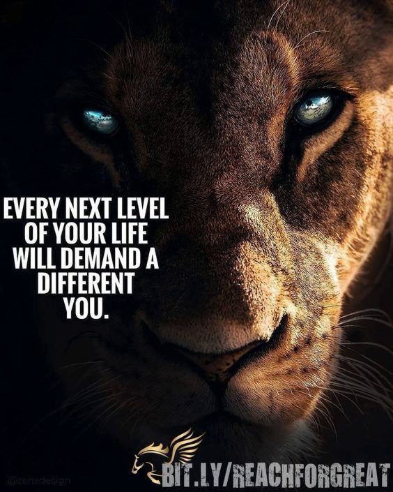 inspirational and motivational quotes message Top 342 Inspirational and Motivational Quotes with Images inspirational and motivational quotes message Top 342 Inspirational and Motivational Quotes with Images
