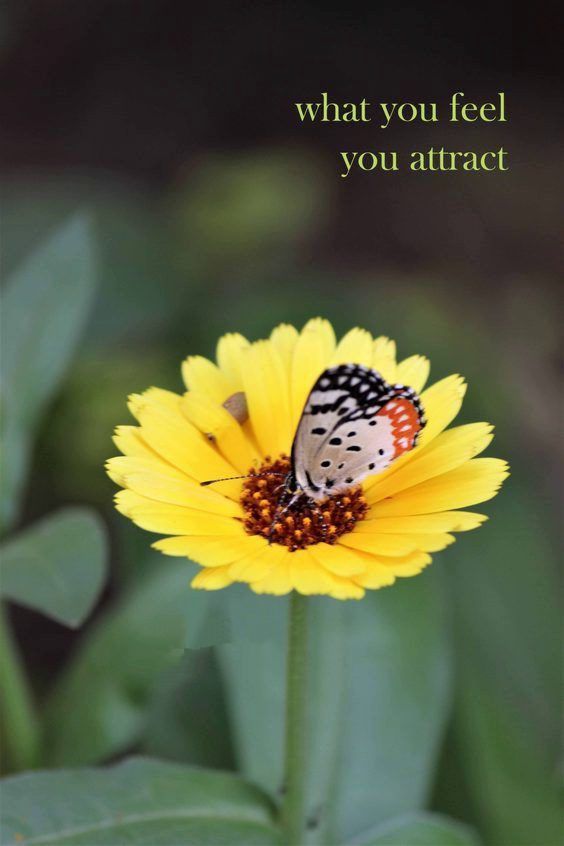 inspirational motivational batman quotes Top 342 Inspirational and Motivational Quotes with Images inspirational motivational batman quotes Top 342 Inspirational and Motivational Quotes with Images