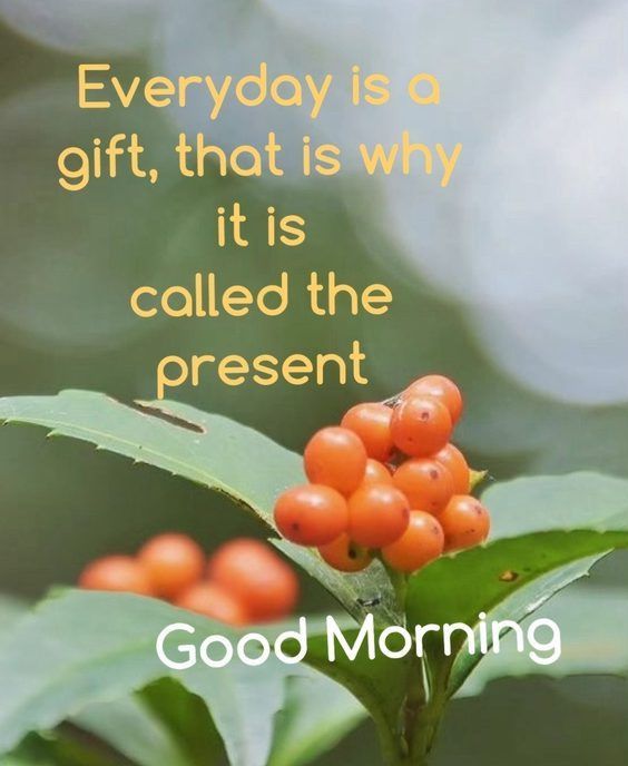 inspirational motivational career quotes Top 342 Inspirational and Motivational Quotes with Images inspirational motivational career quotes Top 342 Inspirational and Motivational Quotes with Images