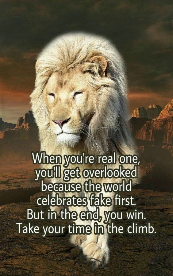 inspirational motivational quotes on Top 342 Inspirational and Motivational Quotes with Images inspirational motivational quotes on Top 342 Inspirational and Motivational Quotes with Images