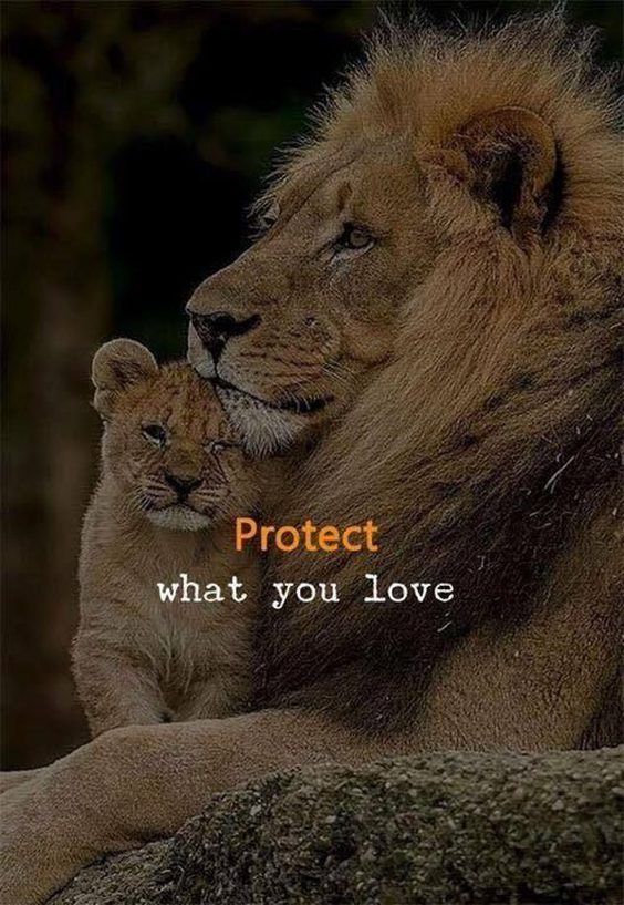 inspirational positive math quotes Top 342 Inspirational and Motivational Quotes with Images inspirational positive math quotes Top 342 Inspirational and Motivational Quotes with Images