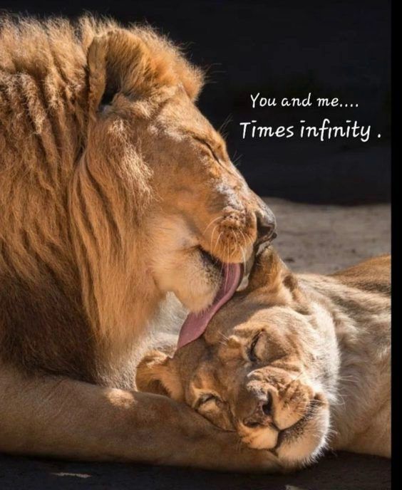 inspirational positive quotes on down syndrome Top 342 Inspirational and Motivational Quotes with Images inspirational positive quotes on down syndrome Top 342 Inspirational and Motivational Quotes with Images