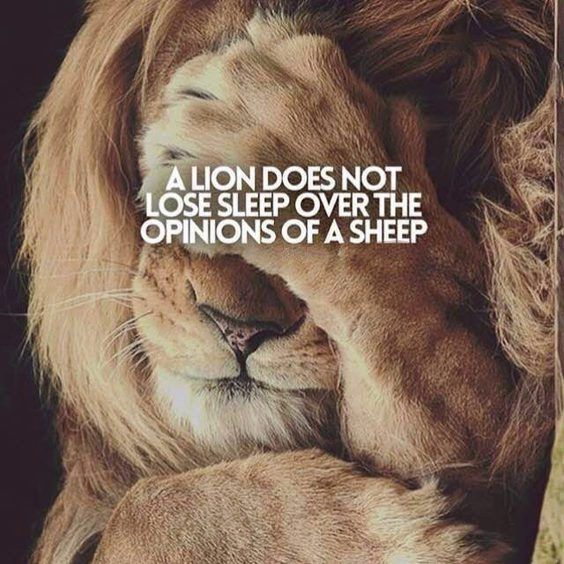 inspirational powerful learning quotes Top 342 Inspirational and Motivational Quotes with Images inspirational powerful learning quotes Top 342 Inspirational and Motivational Quotes with Images