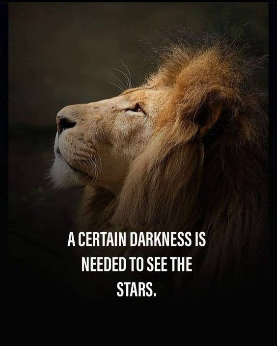 l inspirational quotes Top 342 Inspirational and Motivational Quotes with Images l inspirational quotes Top 342 Inspirational and Motivational Quotes with Images