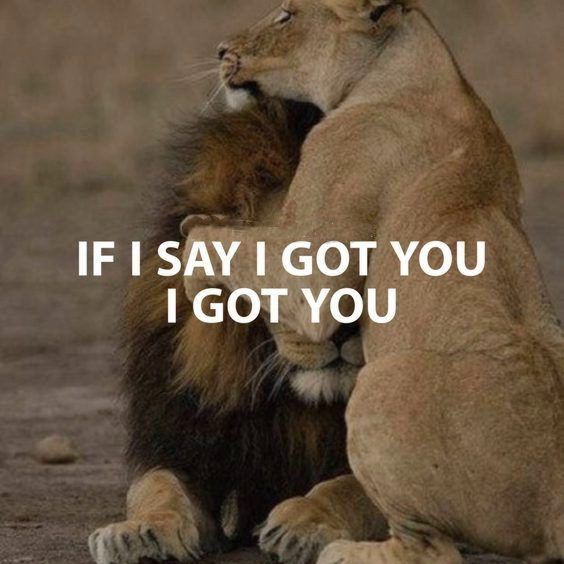 l motivational words Top 342 Inspirational and Motivational Quotes with Images l motivational words Top 342 Inspirational and Motivational Quotes with Images