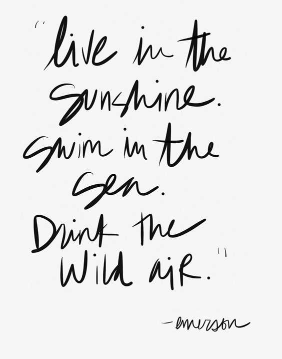 life quotes dark life quotes dark