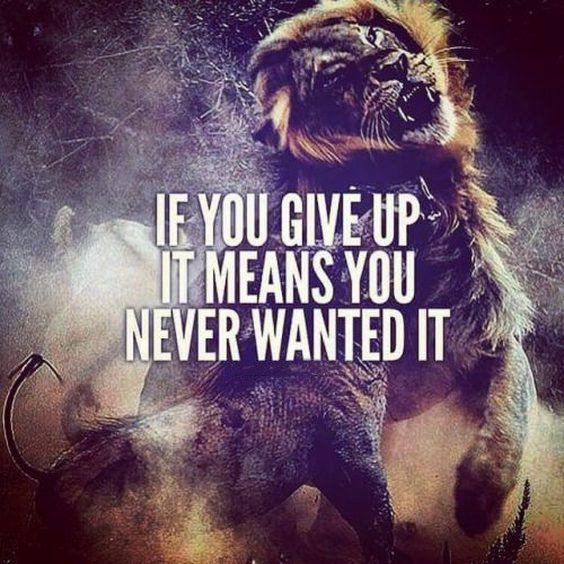 most inspirational and motivational quotes Top 342 Inspirational and Motivational Quotes with Images most inspirational and motivational quotes Top 342 Inspirational and Motivational Quotes with Images