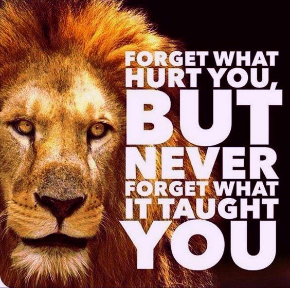 powerful inspirational and motivational quotes Top 342 Inspirational and Motivational Quotes with Images powerful inspirational and motivational quotes Top 342 Inspirational and Motivational Quotes with Images