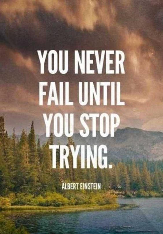 single life quotes single life quotes