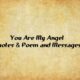 You Are My Angel Quotes Poem and Messages