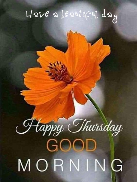 good morning happy thursday sai baba images good morning happy thursday sai baba images