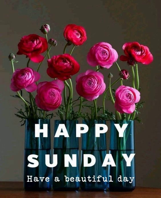 happy thursday morning quotes and images happy thursday morning quotes and images