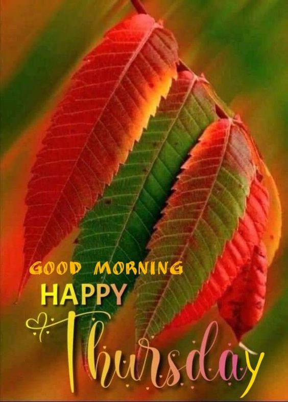 african happy tuesday images african happy tuesday images