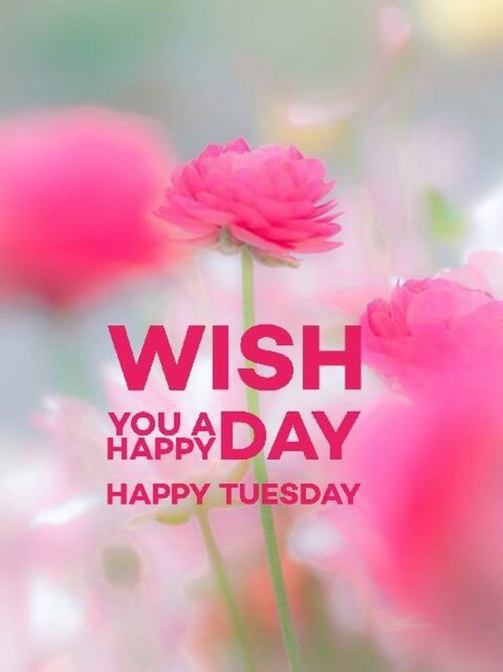 be happy tuesday images be happy tuesday images