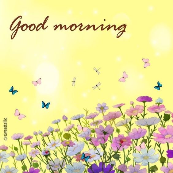 bee happy monday images bee happy monday images