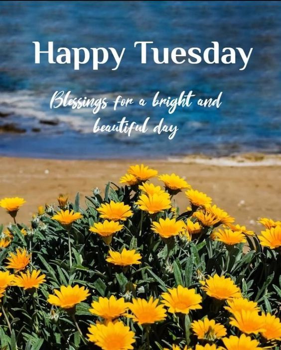 black happy tuesday images