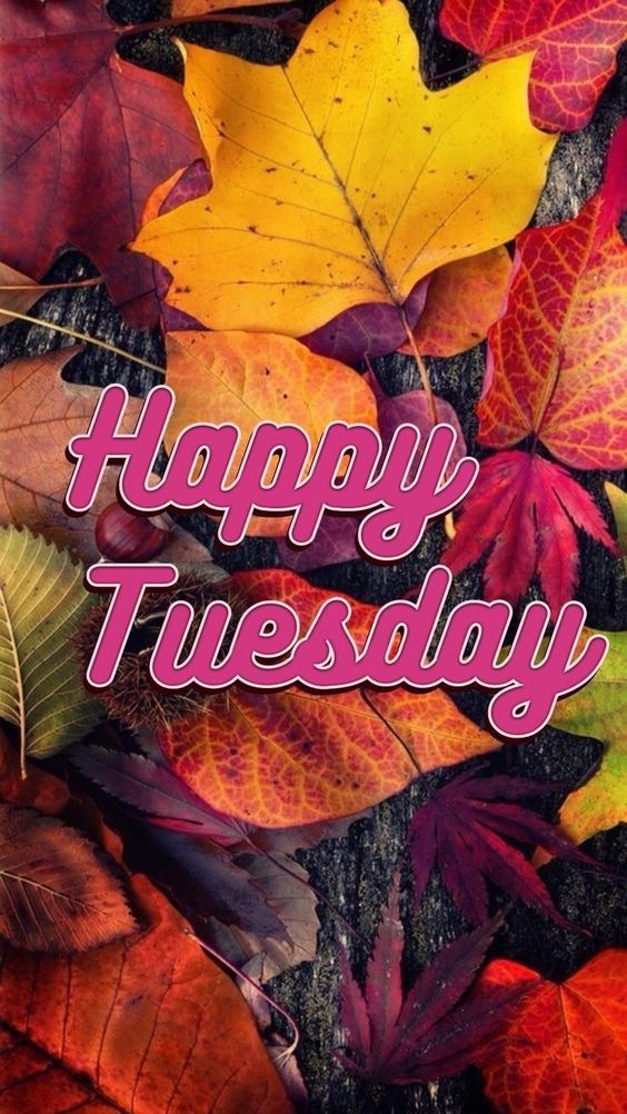 black woman happy tuesday images