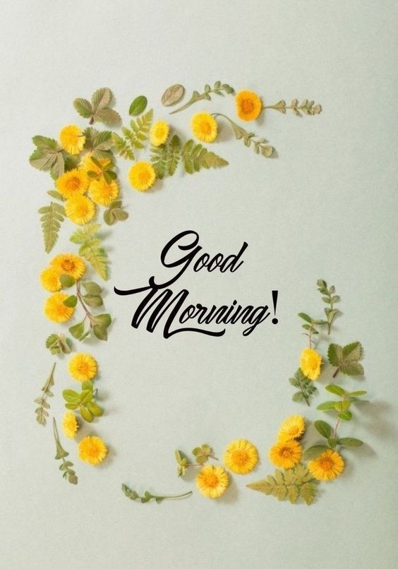 black women happy monday images black women happy monday images