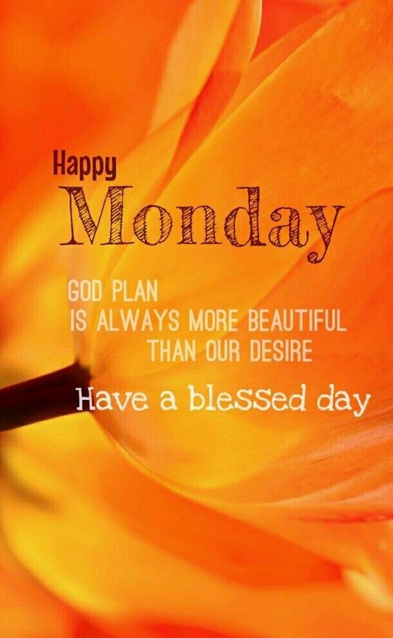 cute happy monday images cute happy monday images