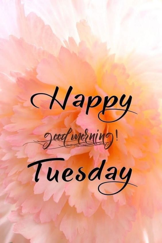 december happy tuesday images december happy tuesday images