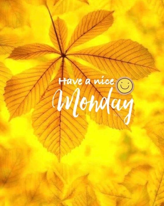 download happy monday images download happy monday images