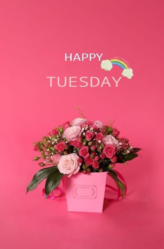 free happy tuesday images good morning free happy tuesday images good morning