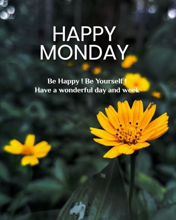 free happy tuesday images free happy tuesday images