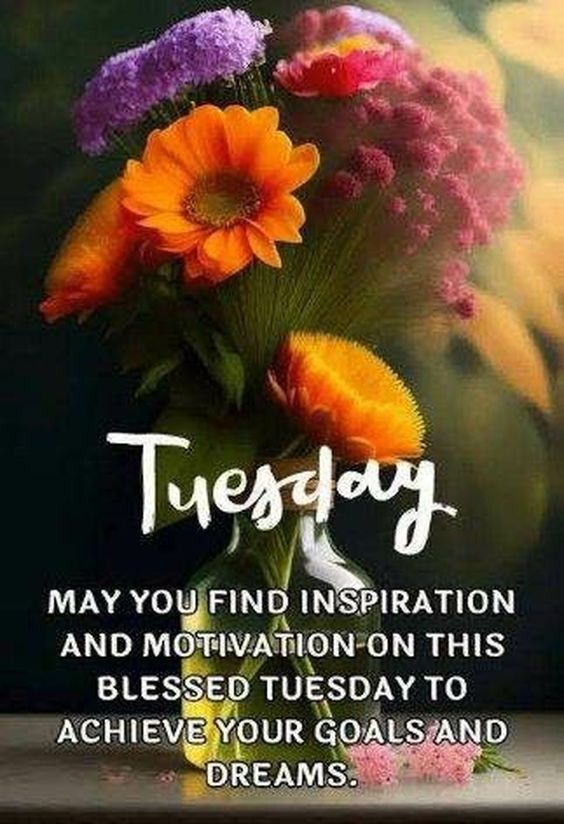 funny good morning happy tuesday images funny good morning happy tuesday images