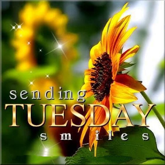 gif happy tuesday images gif happy tuesday images