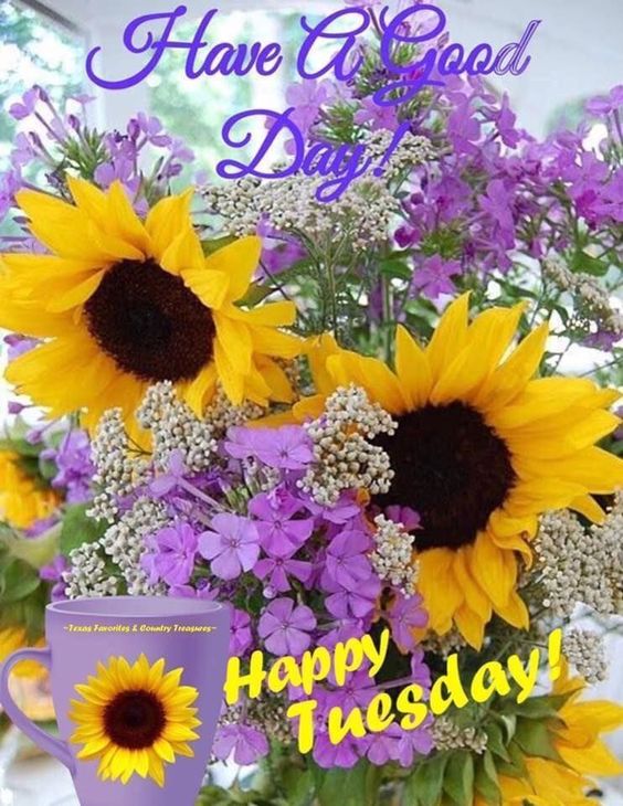 good afternoon happy tuesday images good afternoon happy tuesday images