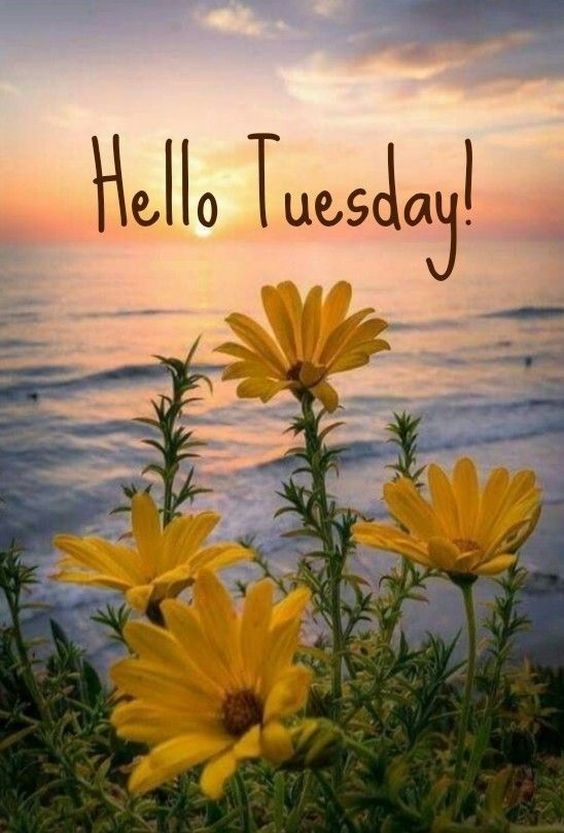good evening happy tuesday images good evening happy tuesday images