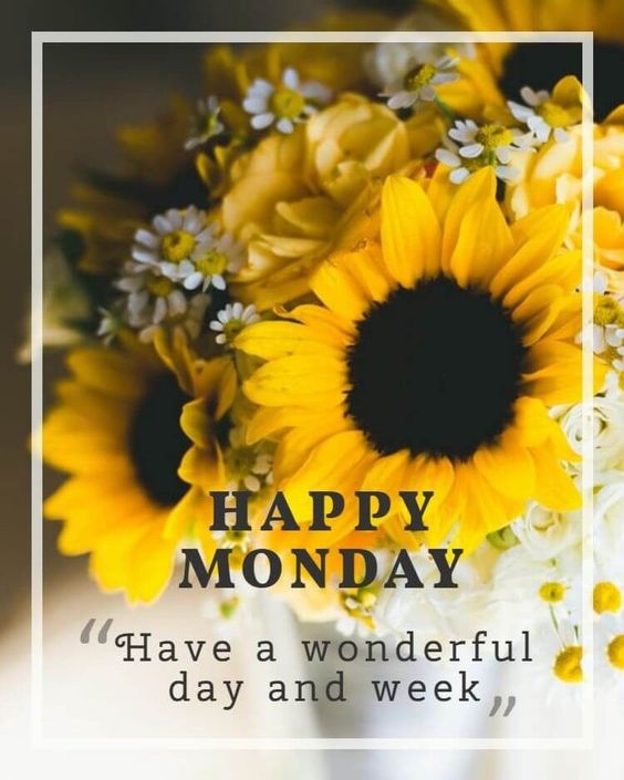 good morning happy monday quotes and images good morning happy monday quotes and images
