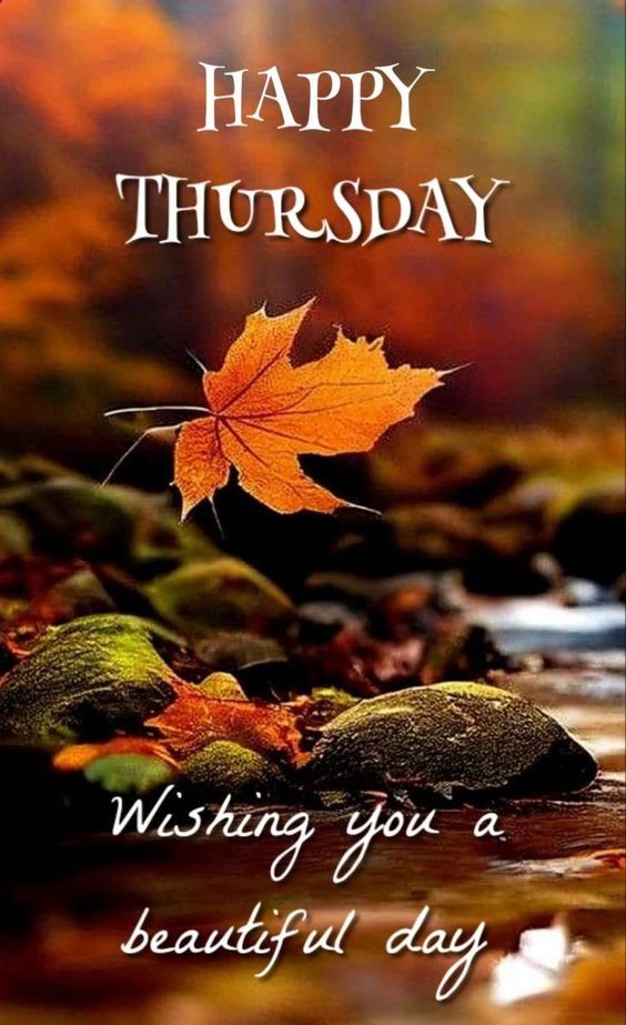 good morning happy tuesday blessings images and quotes good morning happy tuesday blessings images and quotes